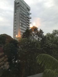 The Legend (D10), Condominium #161088882